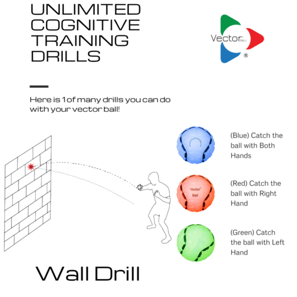 Neuro-Visual-Training-Vector-Ball-demo-art